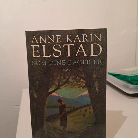 Bøker av ANNE KARIN ELSTAD