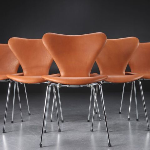 Arne Jacobsen Syverstole model 3107 Walnut skinn.