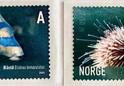 Norge 2006 Maritimt liv i Norge IV NK 1624 - 1625. Postfrisk