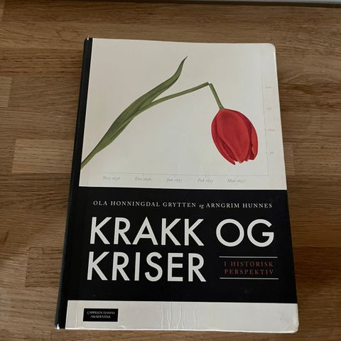 Krakk og kriser