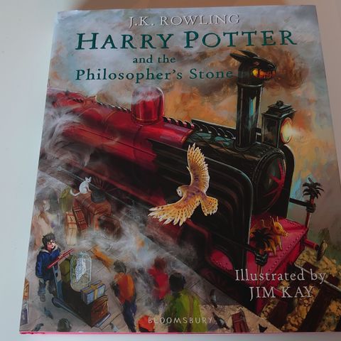 Harry Potter and the Philosopher's Stone, illustrated by Jim Kay