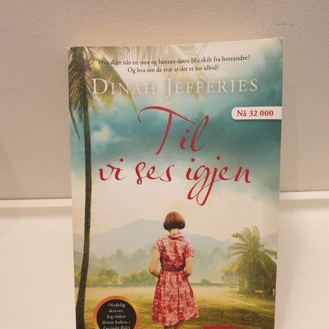 Bok" Til vi ses igjen" av Dinah  Jefferies