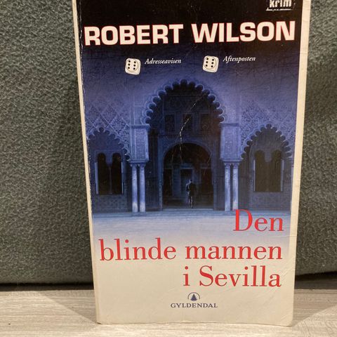 Bok Robert Wilson «Den blinde mannen i Sevilla»