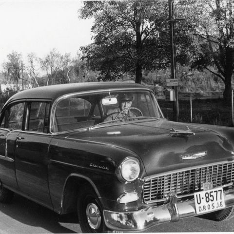 Panser emblem/ornament Chevrolet 1955