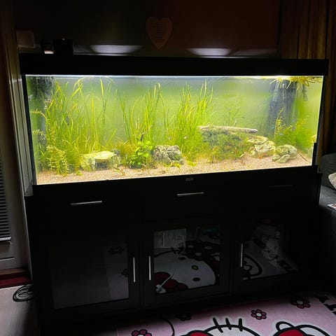 Annonsebilde