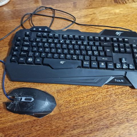 Gaming keyboard og mus