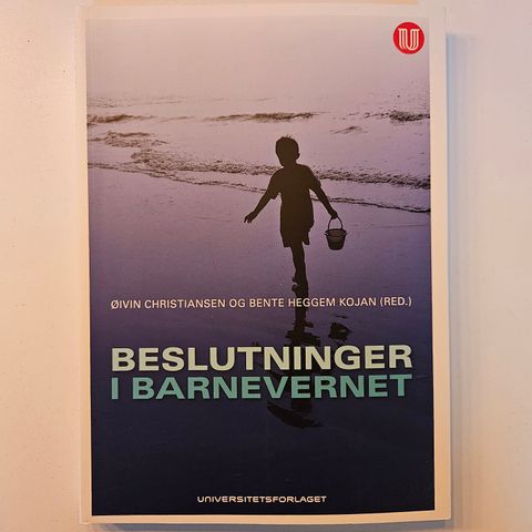 Beslutninger i barnevernet, sosionom / sosialt arbeid