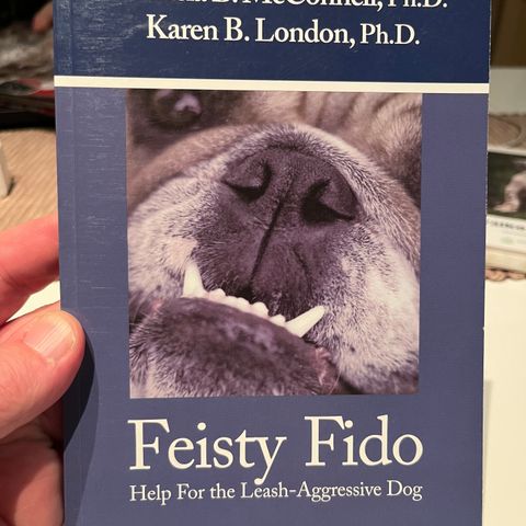 Feisty Fido - Hjelp for aggressive hunder