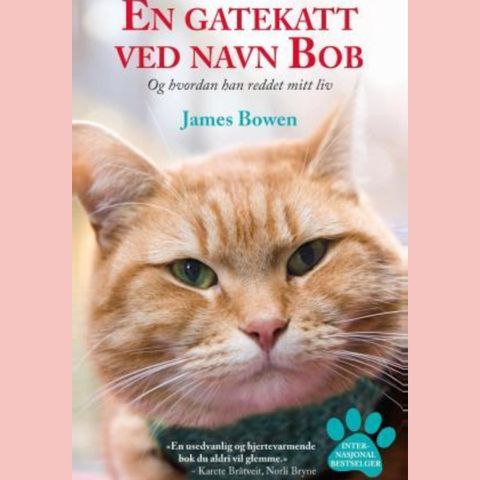 En gatekatt ved navn Bob. James Bowen.