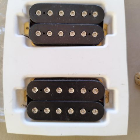 Ibanez Quantum Humbuckers