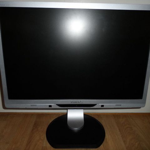 22" Philips skjerm