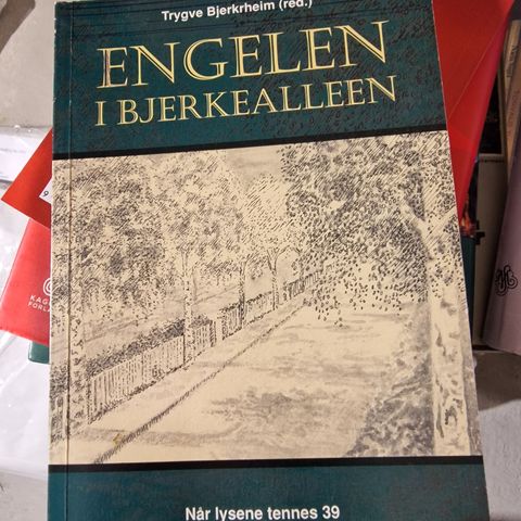 Engelen i Bjerkealleen