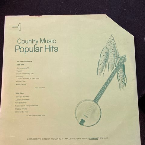 Country Music Popular Hits Record 1