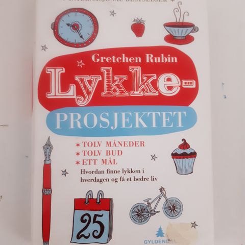 Lykkeprosjektet: hvordan finne lykken i hverdagen og få et bedre liv  : Gretchen