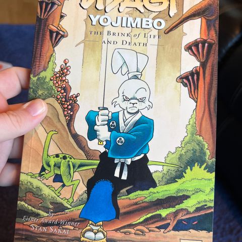 Usagi Yojimbo The Brink of Life and Death