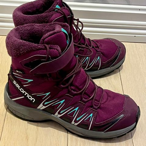 Salomon XA Pro waterproof str 37