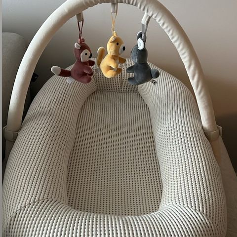 Babynest