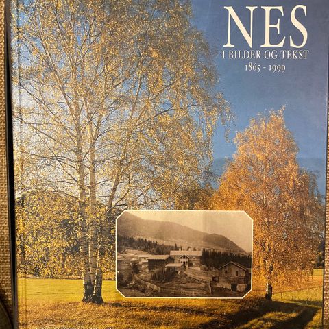 📚BORGE ANTIKVARIAT: «Nes - i bilder og tekst 1865-1999»