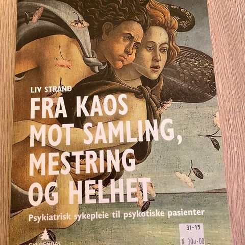 Fra kaos mot samling, mestring og helhet