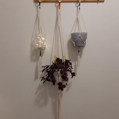 Macrame plant hanger