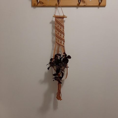 Macrame Plant Hanger