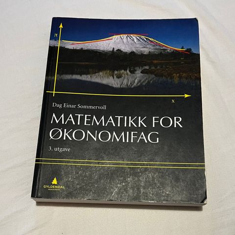 Matematikk for økonomifag