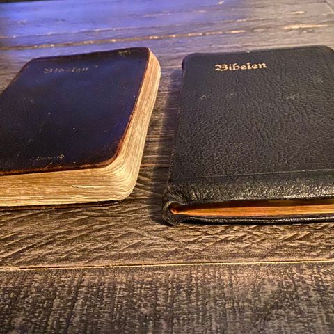 To bibler fra 1926
