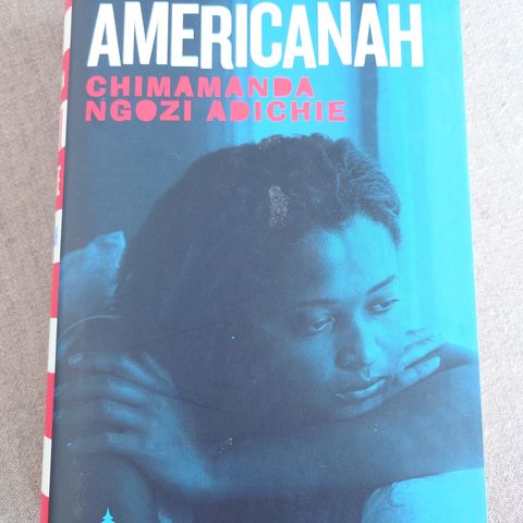 Adichie, Chimamanda Ngozi: Americanah