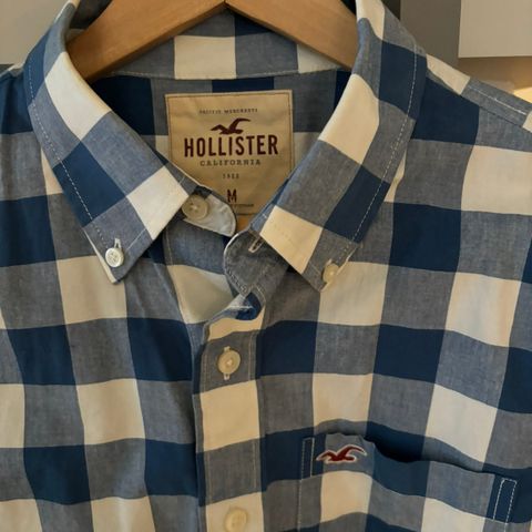 Hollister M