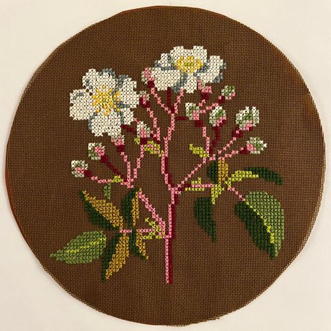 Brodert bilde