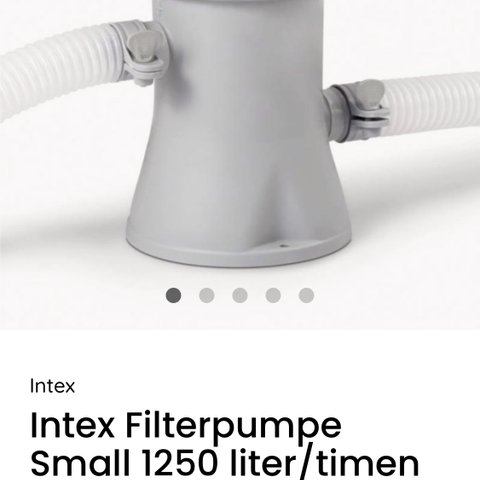 Intex Filterpumpe
