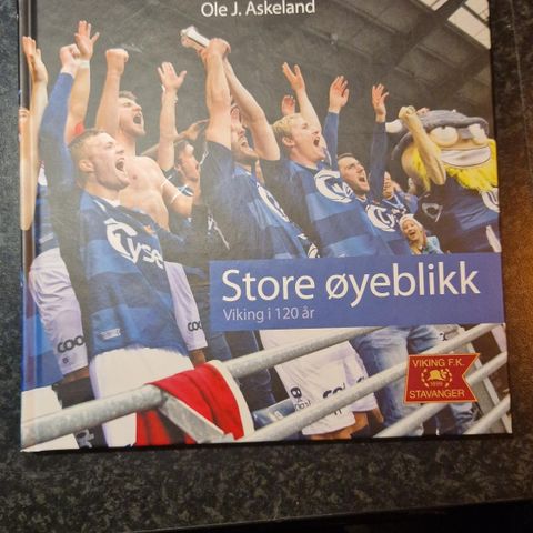 Viking FK Store øyeblikk - Bok