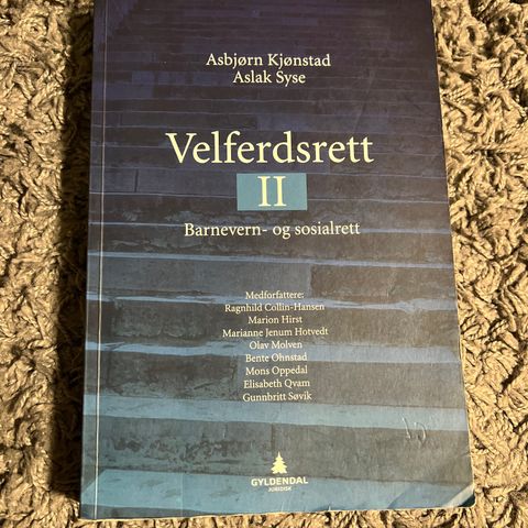 Velferdsrett 2 Barnevern- og sosialrett