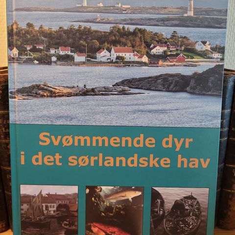 Svømmende dyr i det sørlandske hav