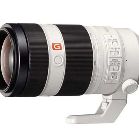 Sony FE 100-400mm f/4.5-5.6 GM OSS