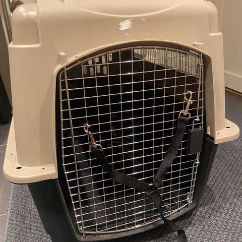 Petmate Vari kennel reisebur til stor/mellomstor hund