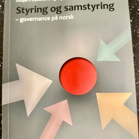 Fagbok: Styring og samstyring - Governance på norsk