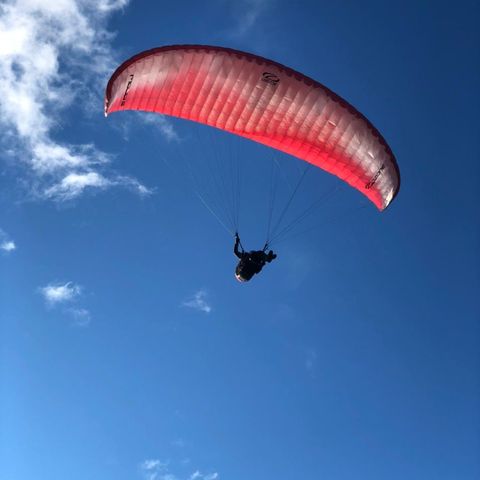 Paraglider Ozone Mojo 5 (Komplett utstyr - begynnervennlig)