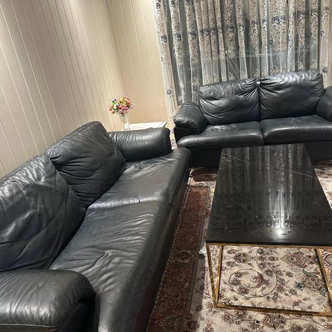 Sofa og sofa bord