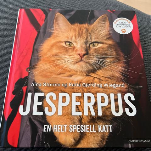 Bok: Jesperpus en helt spesiell katt