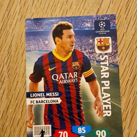 Lionel Messi Star Player 2013/2014