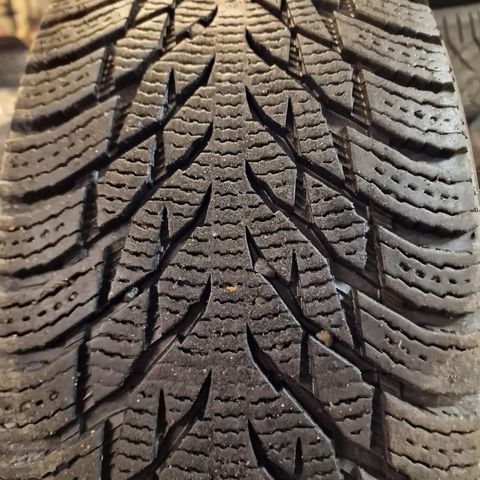 2155518 Nokian Hakkapeliitta R3 Suv