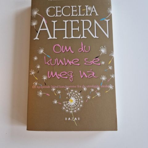 Om du kunne se meg nå av Cecelia Ahern