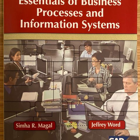 Essentials of Business Processes and Information Systems