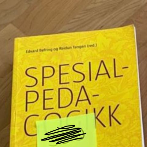 Spesialpedagogikk