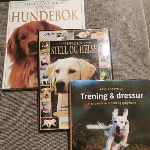 Hund til våren eller sommeren ? Bøker om hund til salgs.