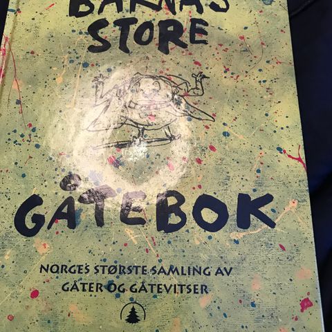 Bjørn Rosin Barnas store gåtebok