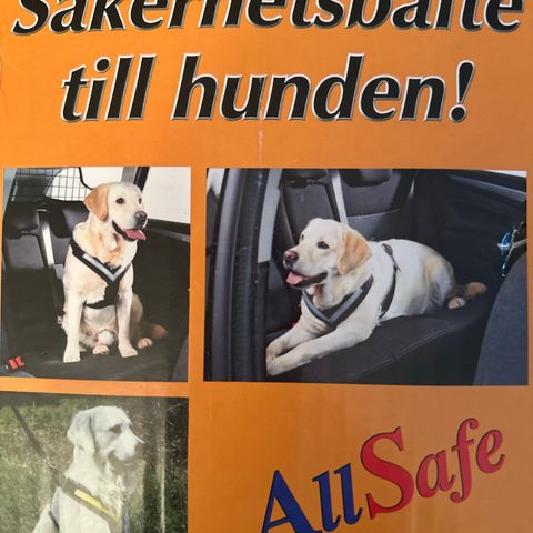 Sikkerhetsbelte til hunden