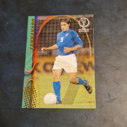 Fabio Cannavaro VM 2002 Panini