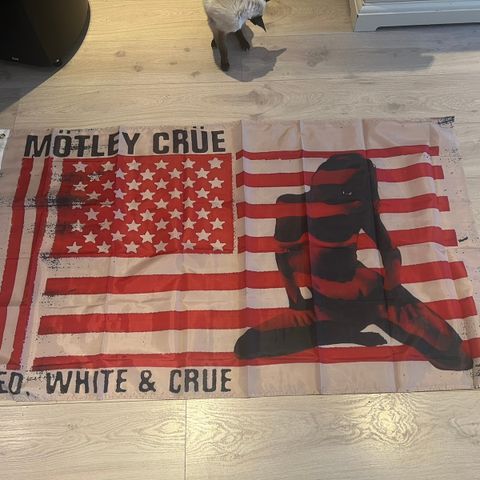 Motley Crue flagg